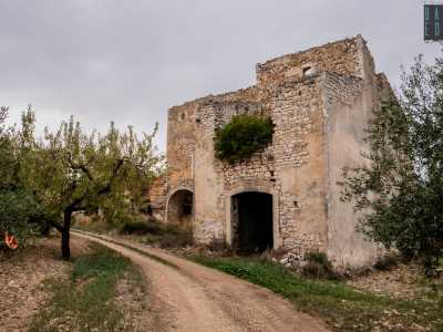 Bitetto: casolari, palmenti e masserie